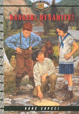 Cascade Mountain Railroad Mysteries book cover 1