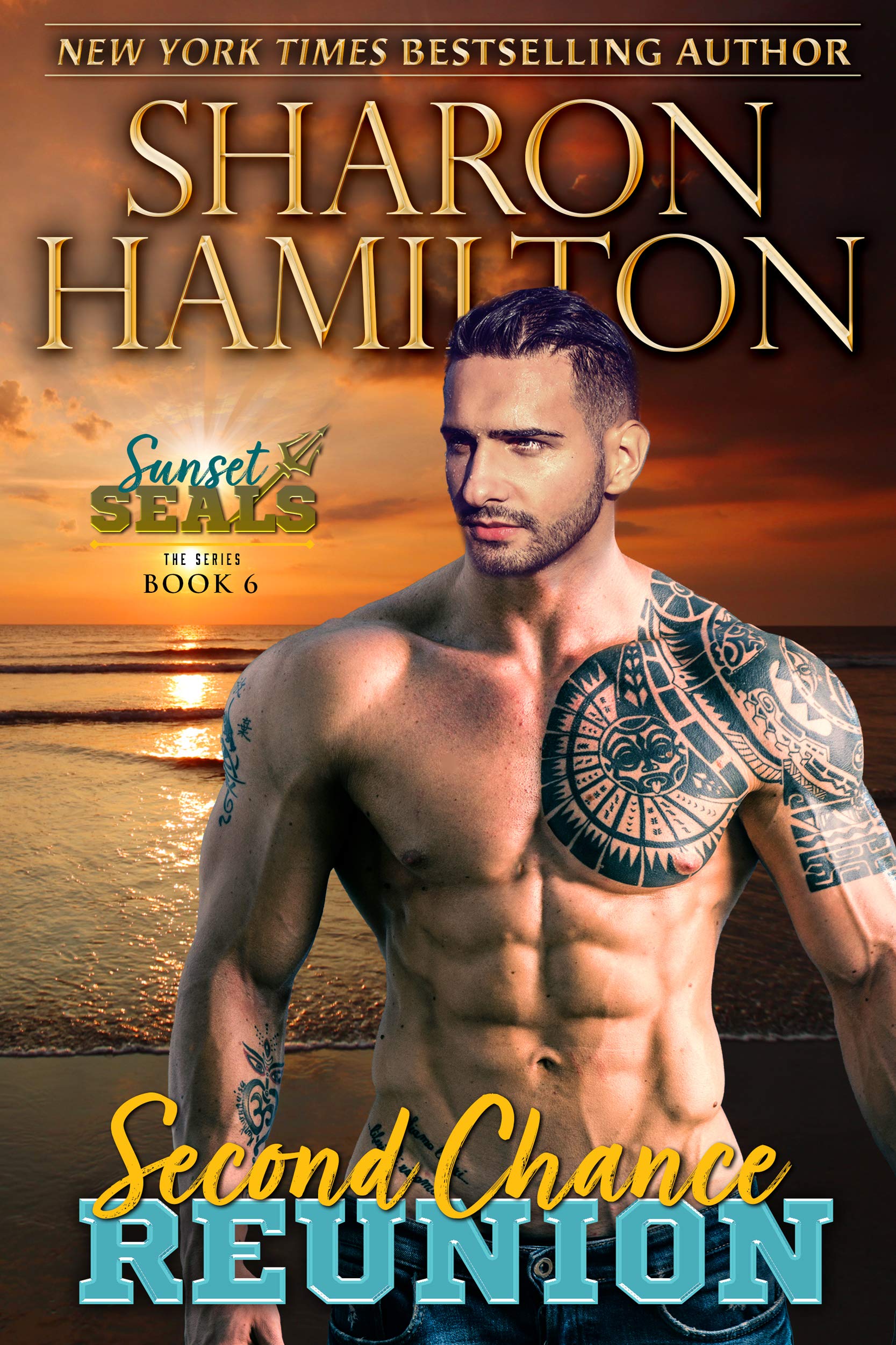 Second Chance Reunion book cover
