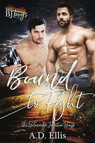 The Blueridge Junction Boys book cover 3