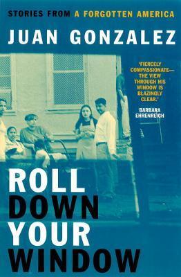 Roll Down Your Window book cover