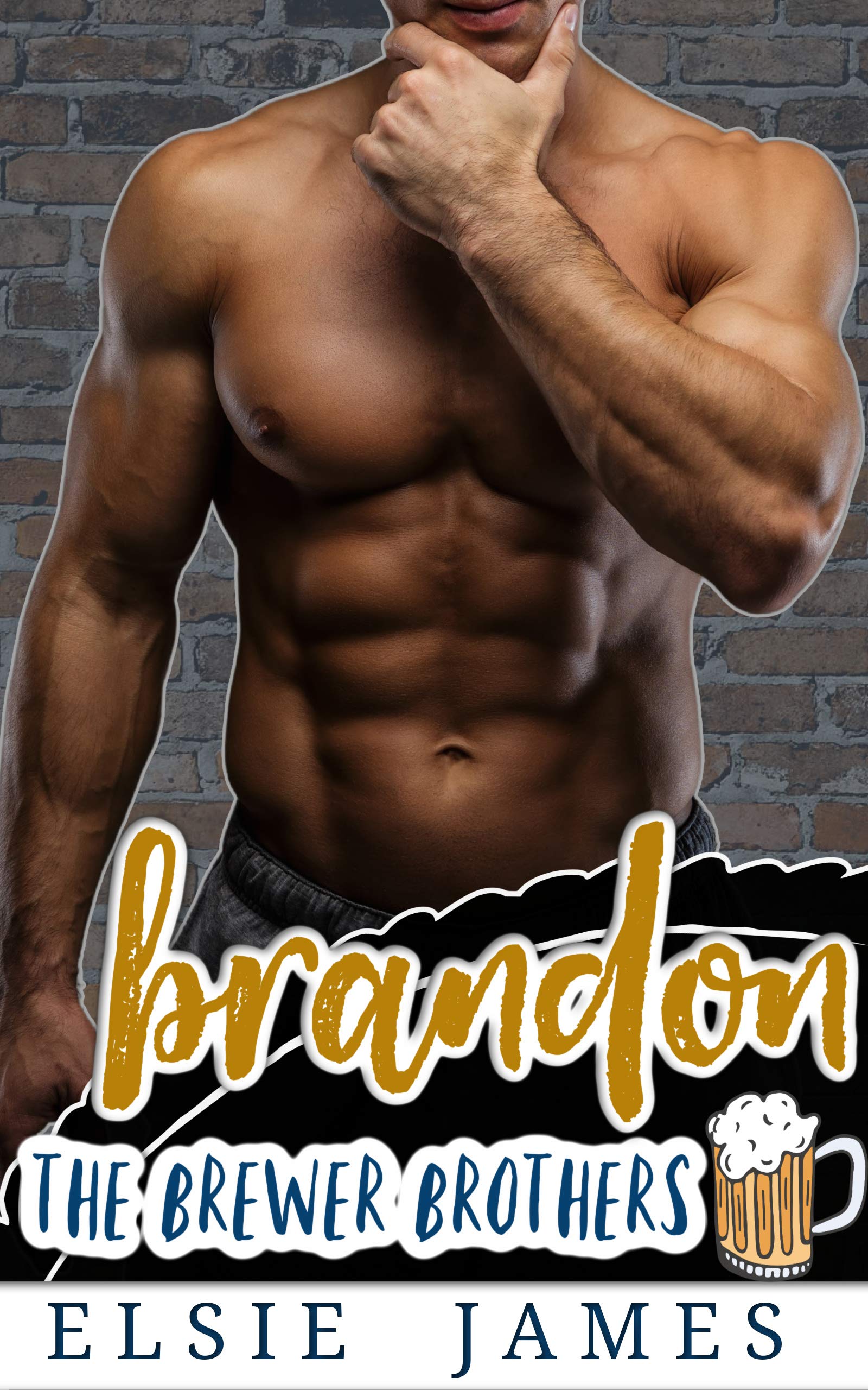 The Brewer Brothers book cover 1
