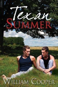 Texan Summer book cover