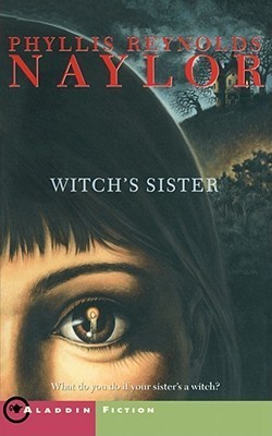 Witch Saga book cover 1