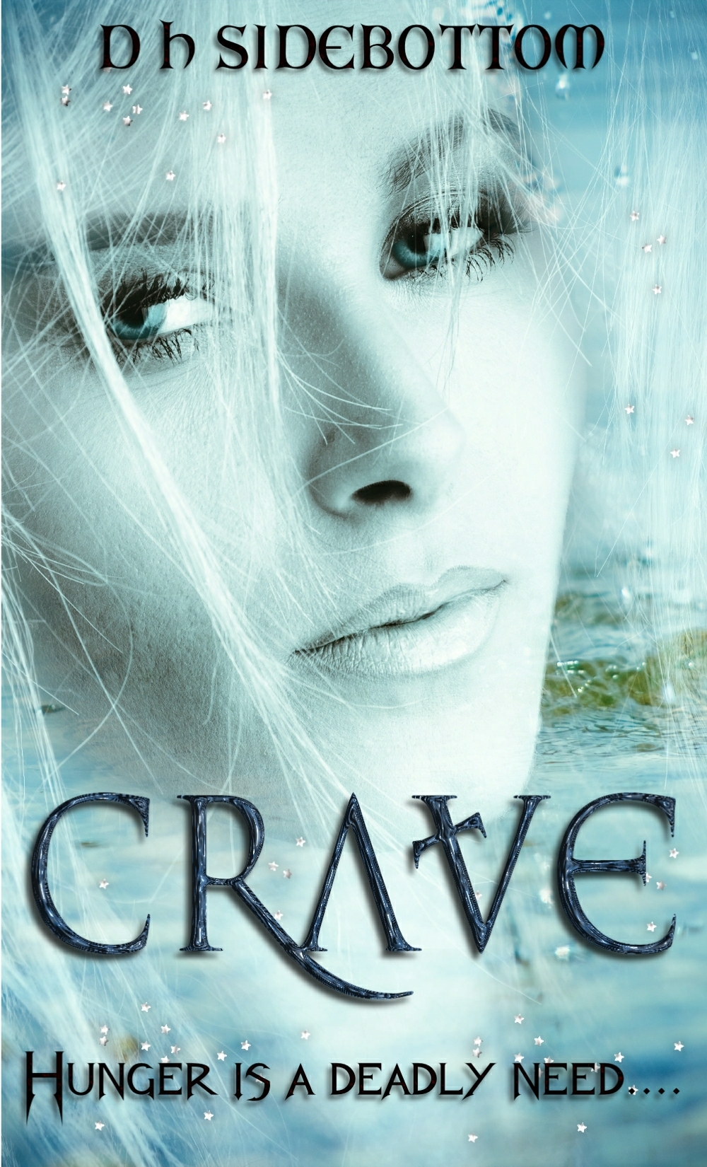 Crave book cover