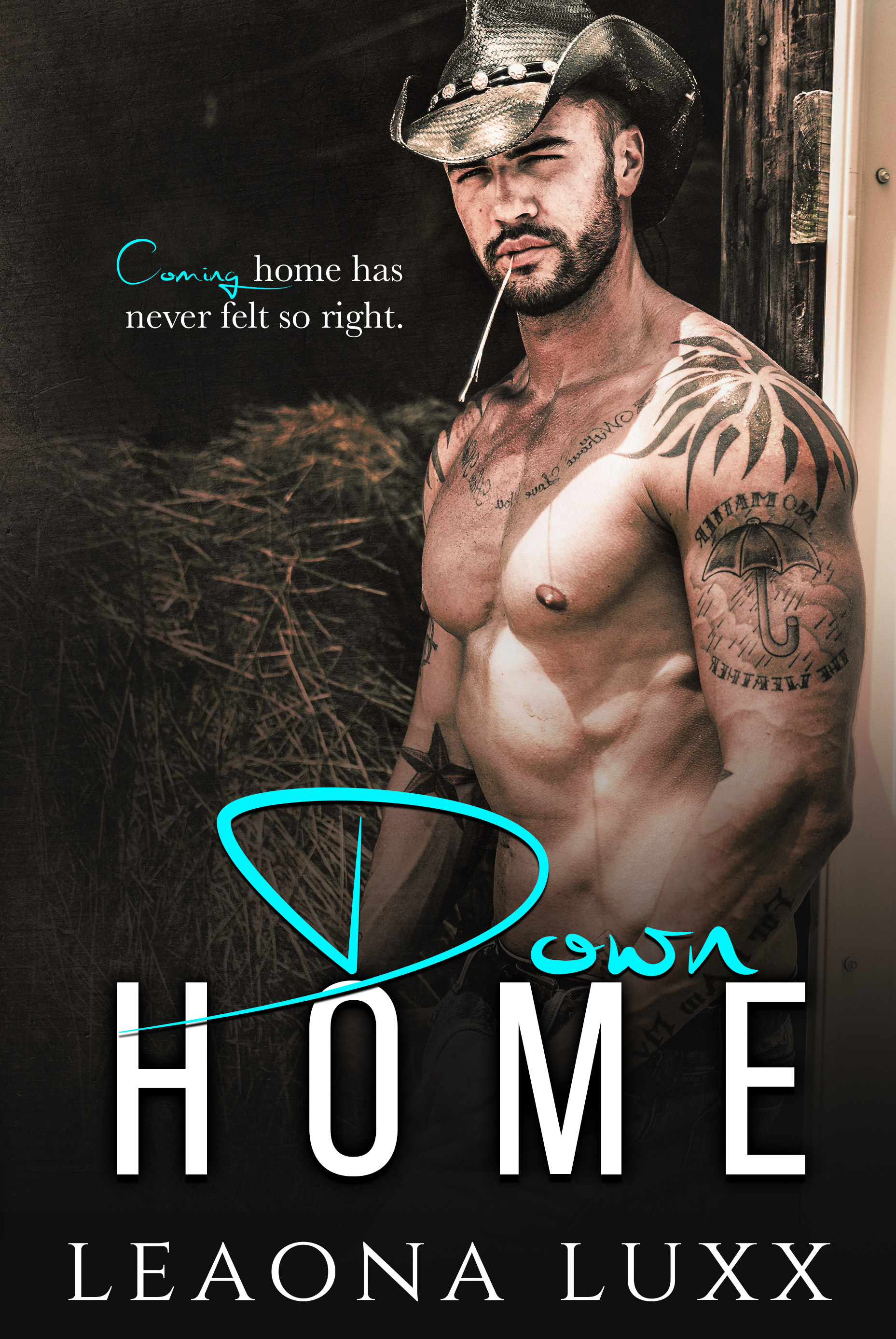 Down Home book cover