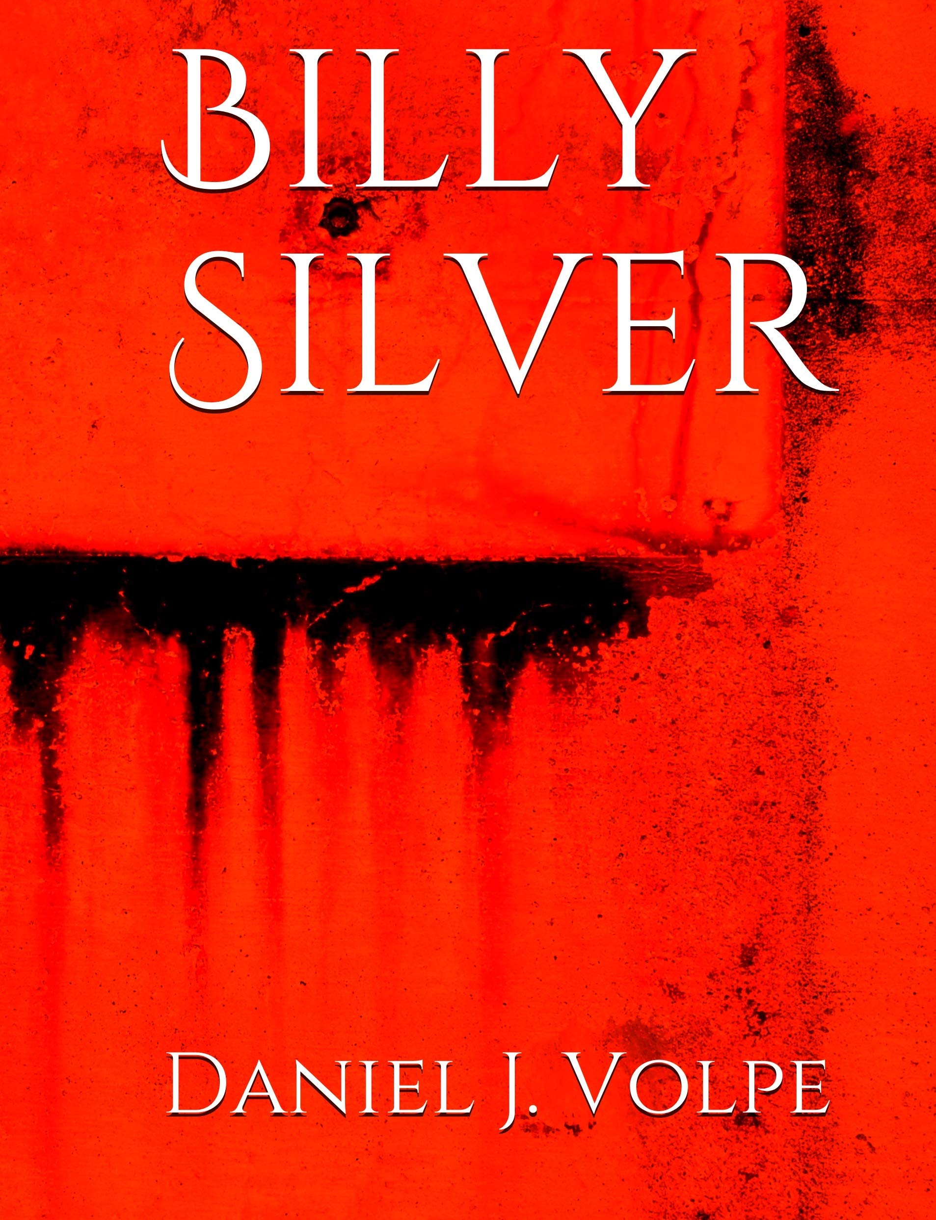 Billy Silver book cover