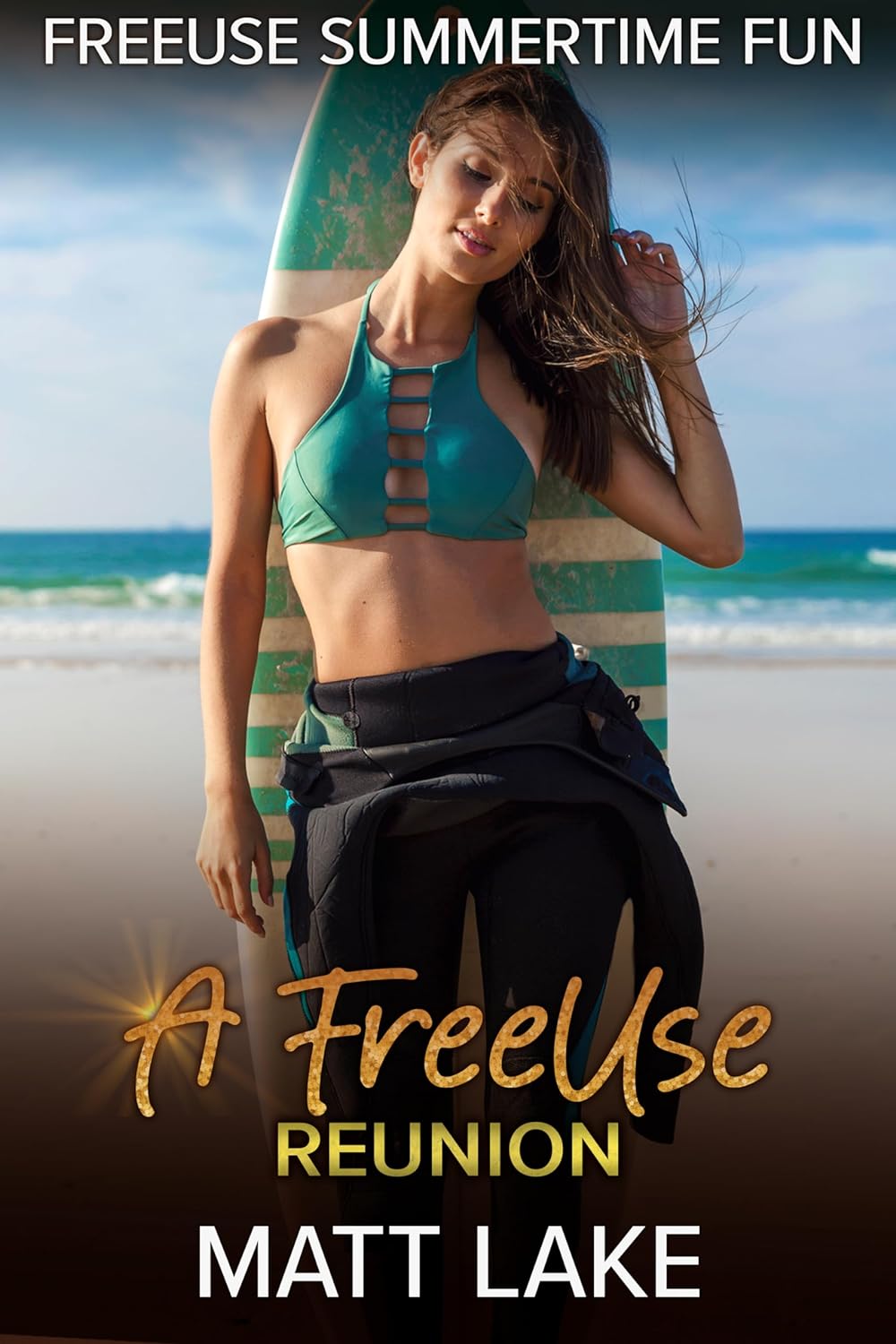 A Freeuse Reunion book cover