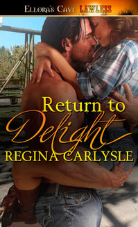 Delight, Texas book cover 1