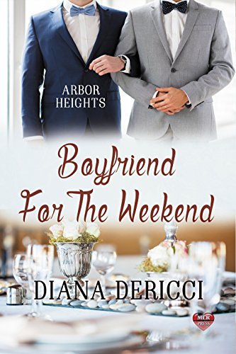 Boyfriend book cover 1