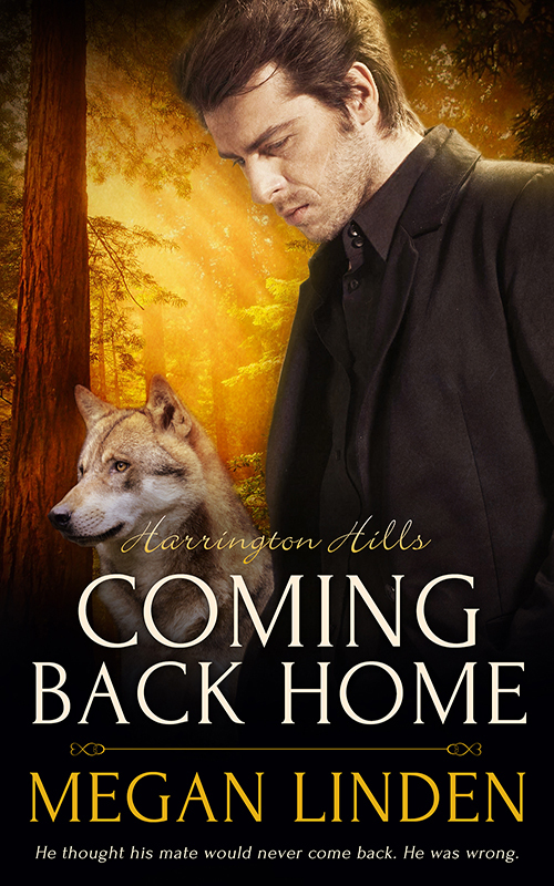 Harrington Hills book cover 3