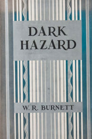 Dark Hazard book cover