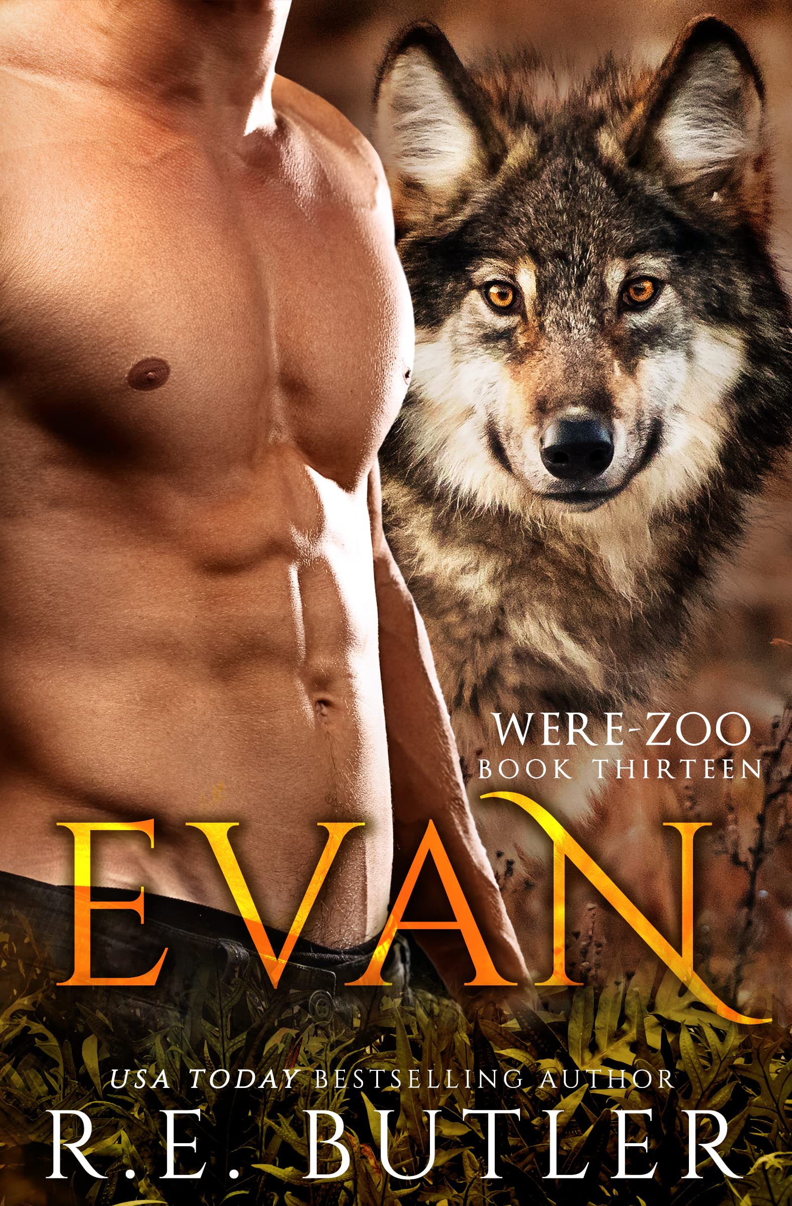 Evan book cover