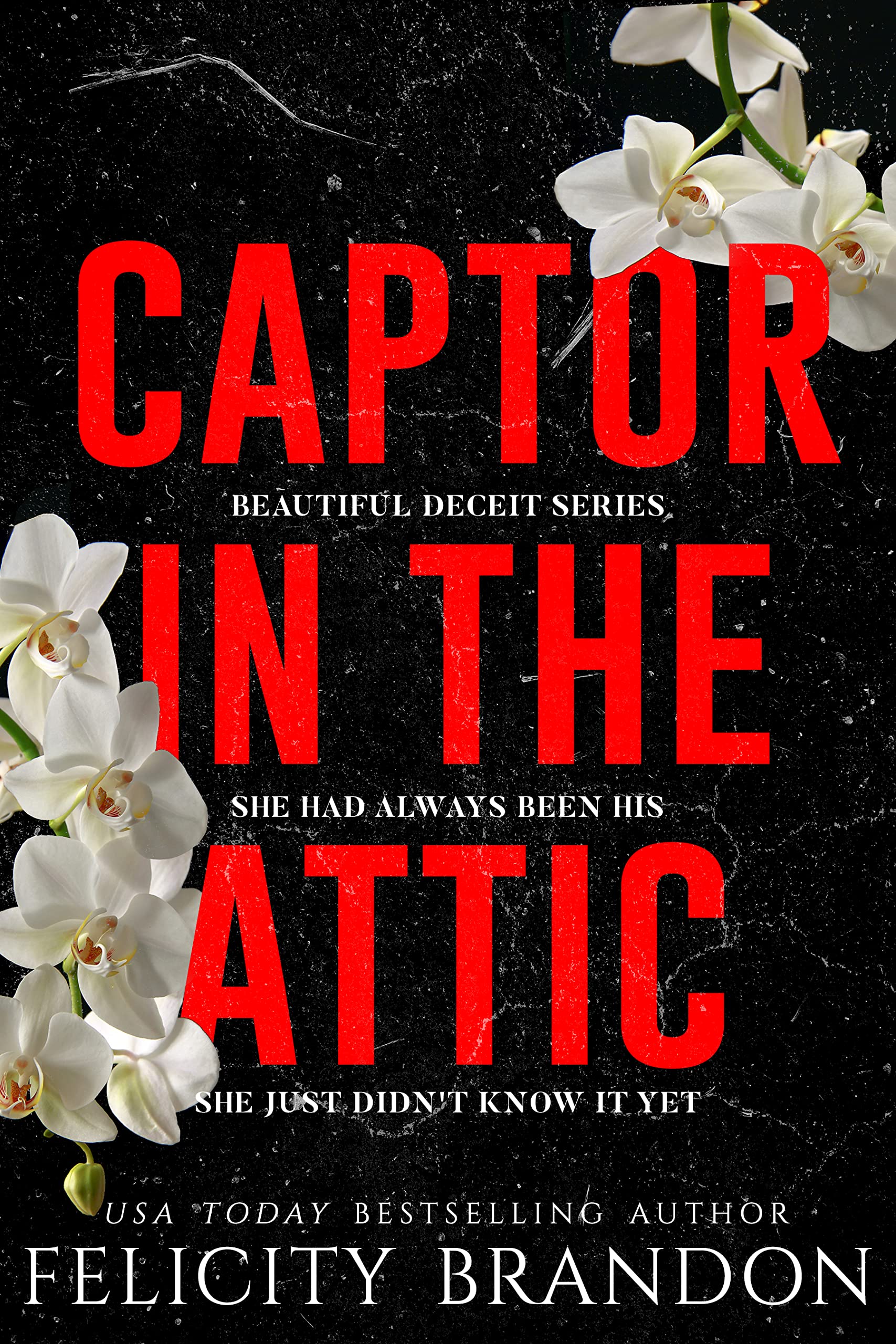 Beautiful Deceit book cover 1
