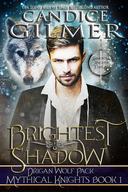 Mythical Knights book cover 1
