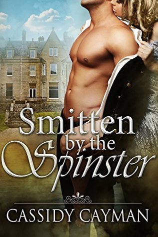 Smitten by the Spinster book cover