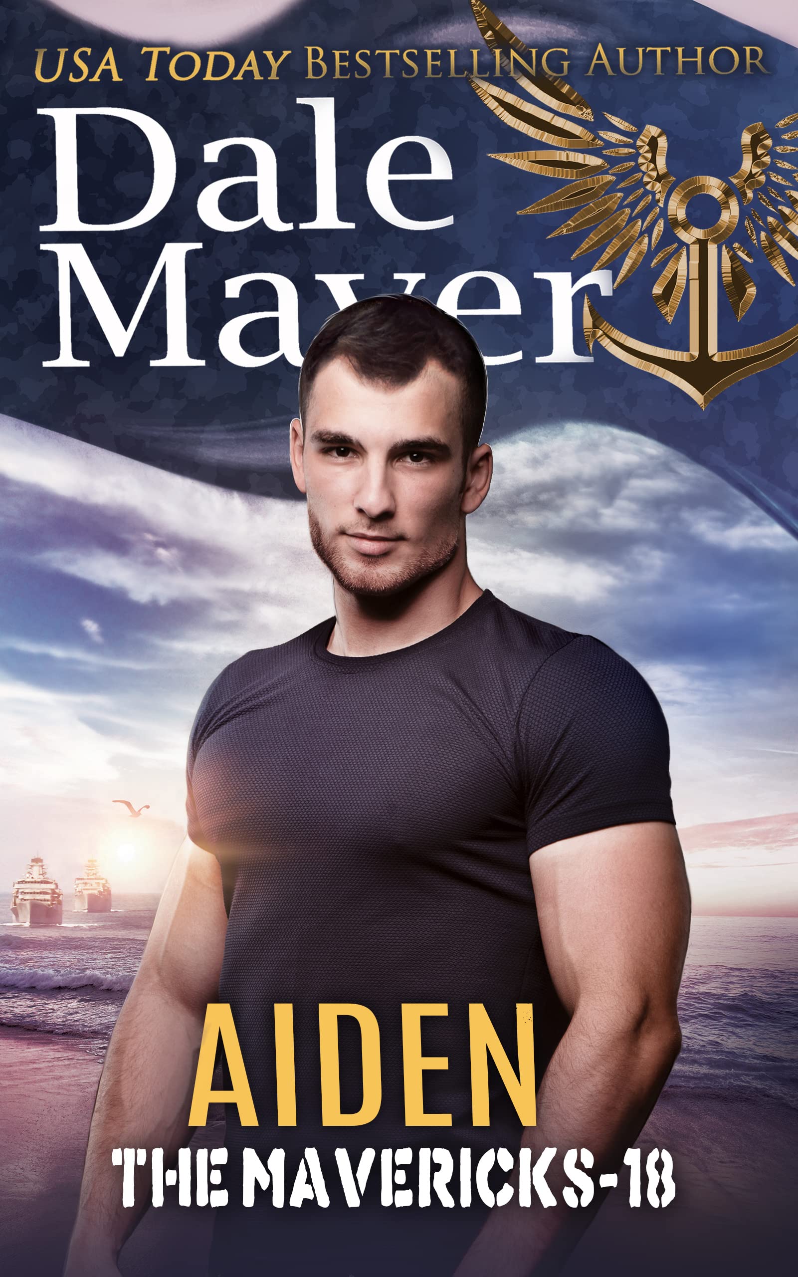 Aiden book cover
