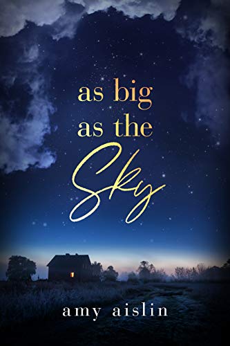 As Big as the Sky book cover