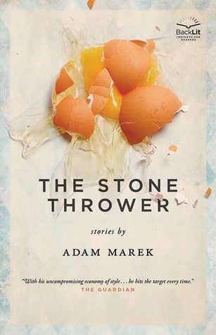 The Stone Thrower book cover