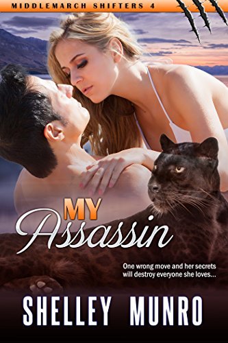 Assassin book cover