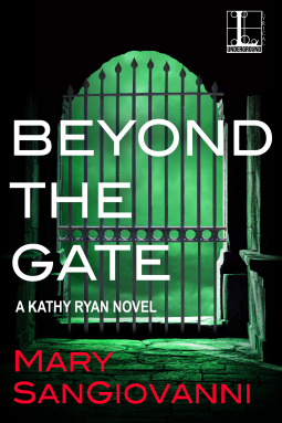 Beyond the Gate book cover