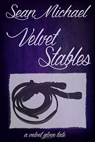 Velvet Stables book cover