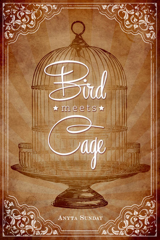 Bird Meets Cage book cover
