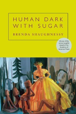 Human Dark with Sugar book cover
