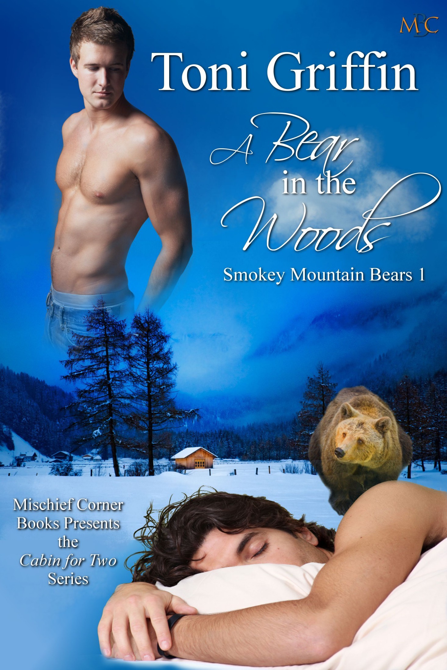 A Bear in the Woods book cover