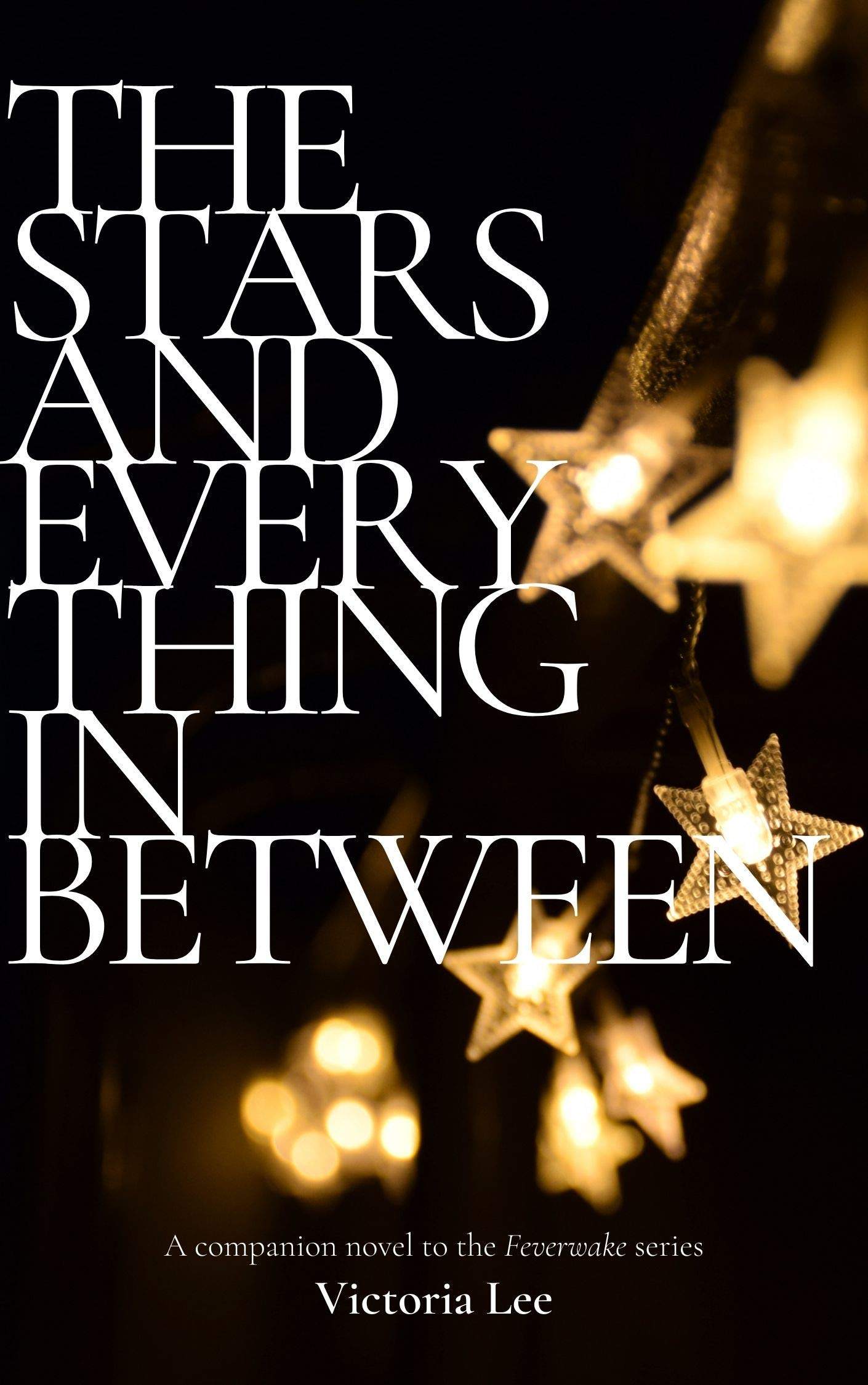 The Stars and Everything in Between book cover