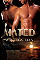 Mated book cover