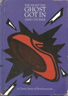 The Night the Ghost Got in book cover