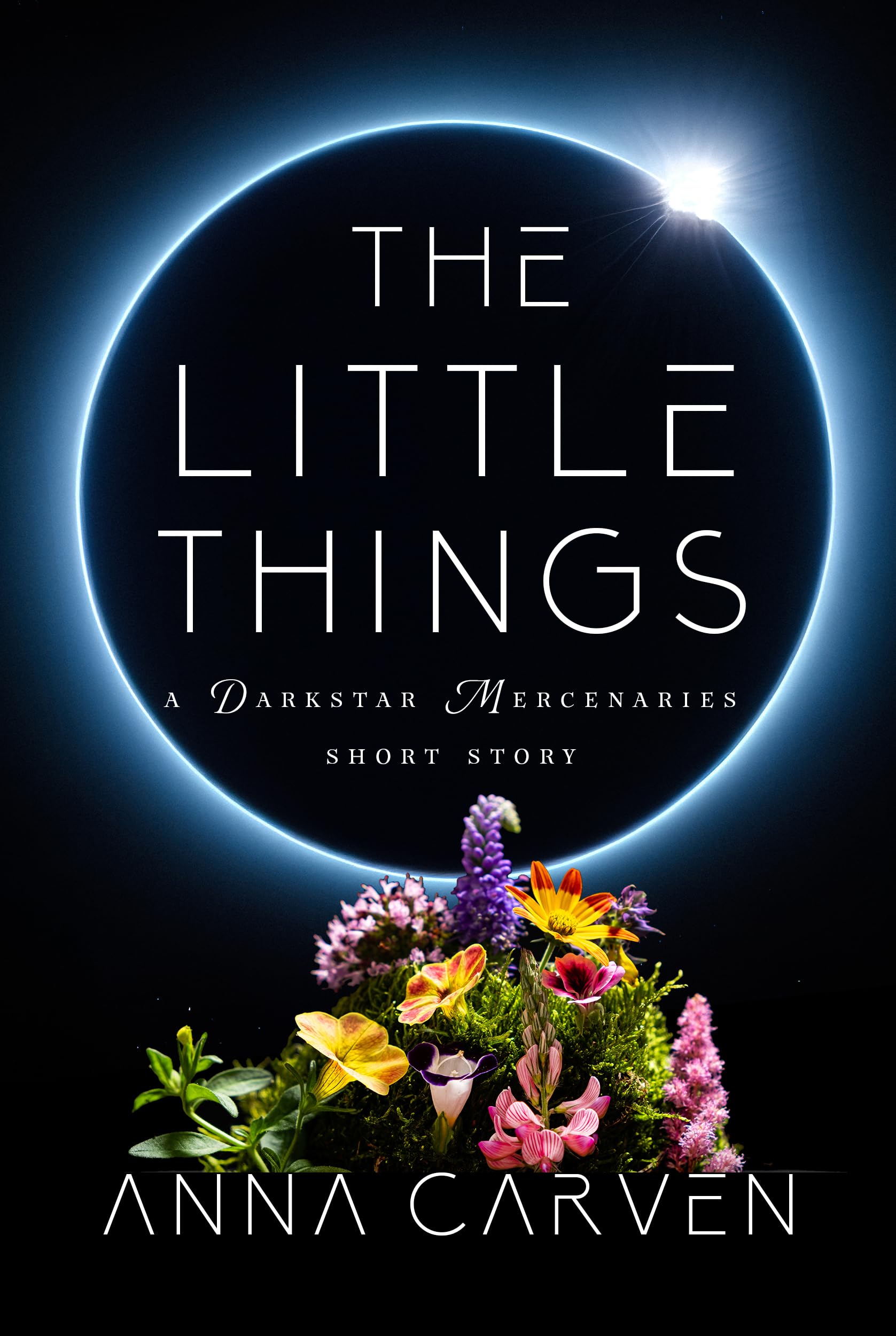 The Little Things book cover