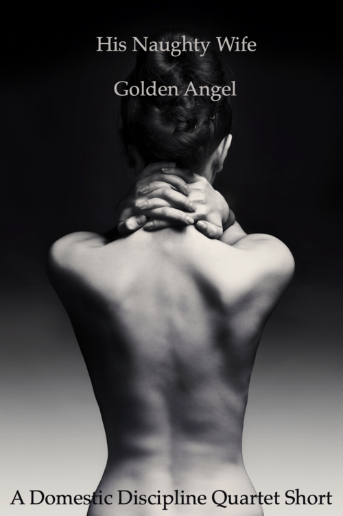 His Naughty Wife book cover