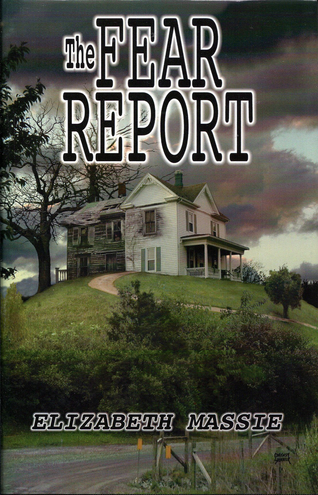The Fear Report book cover
