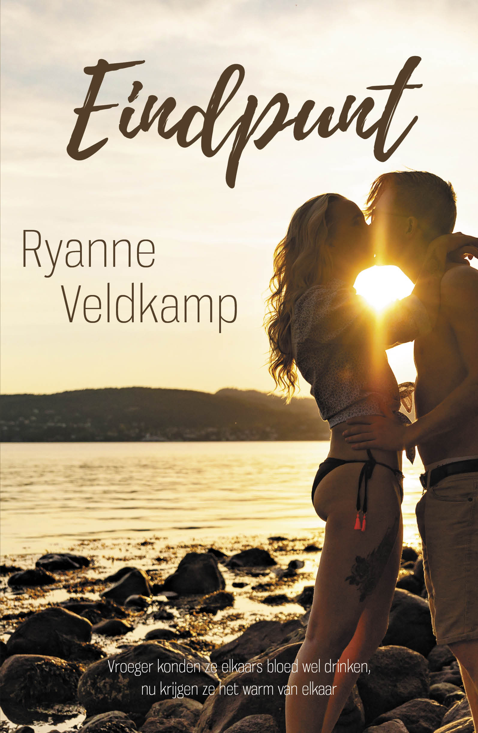 Eindpunt book cover