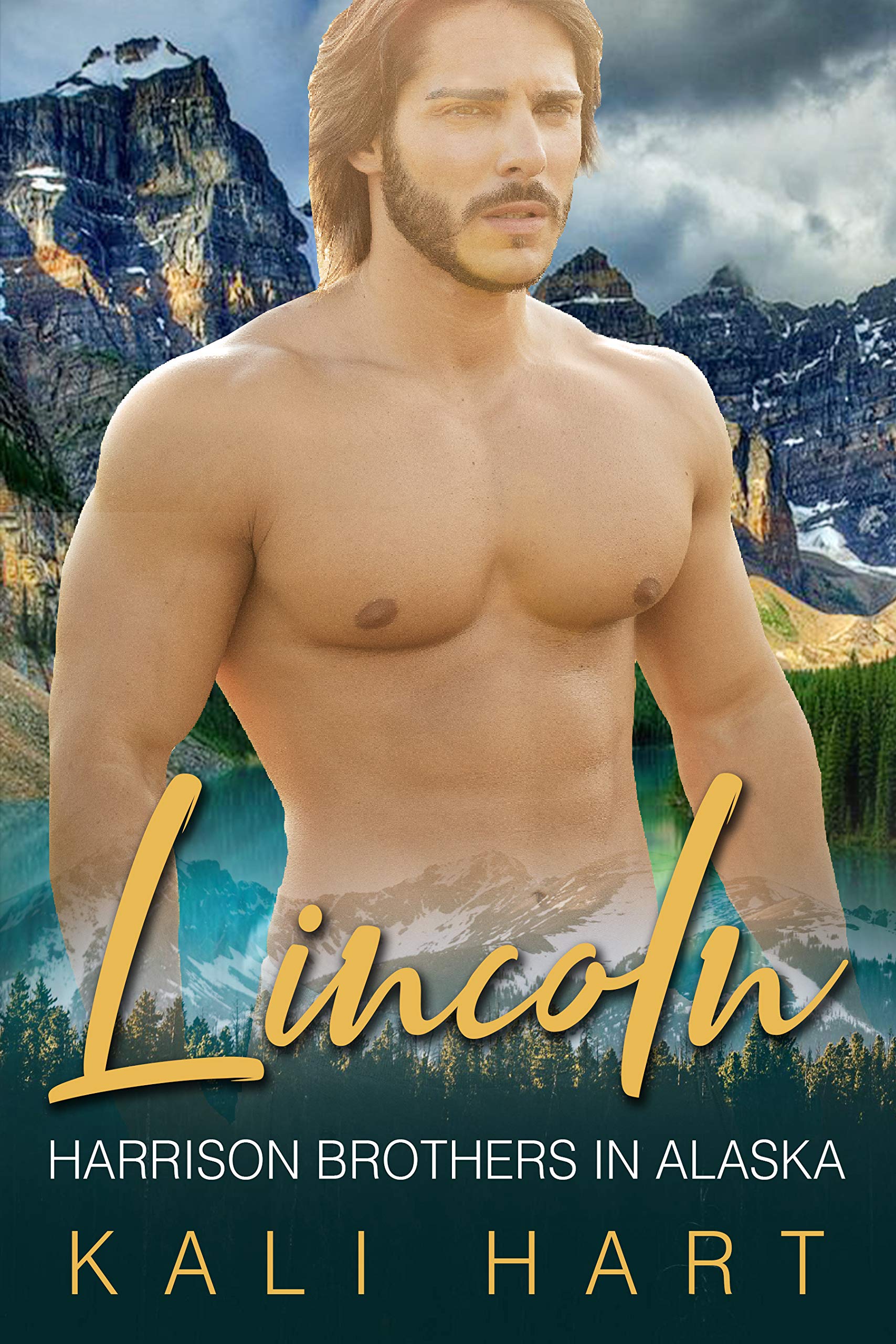 Harrison Brothers in Alaska book cover 3