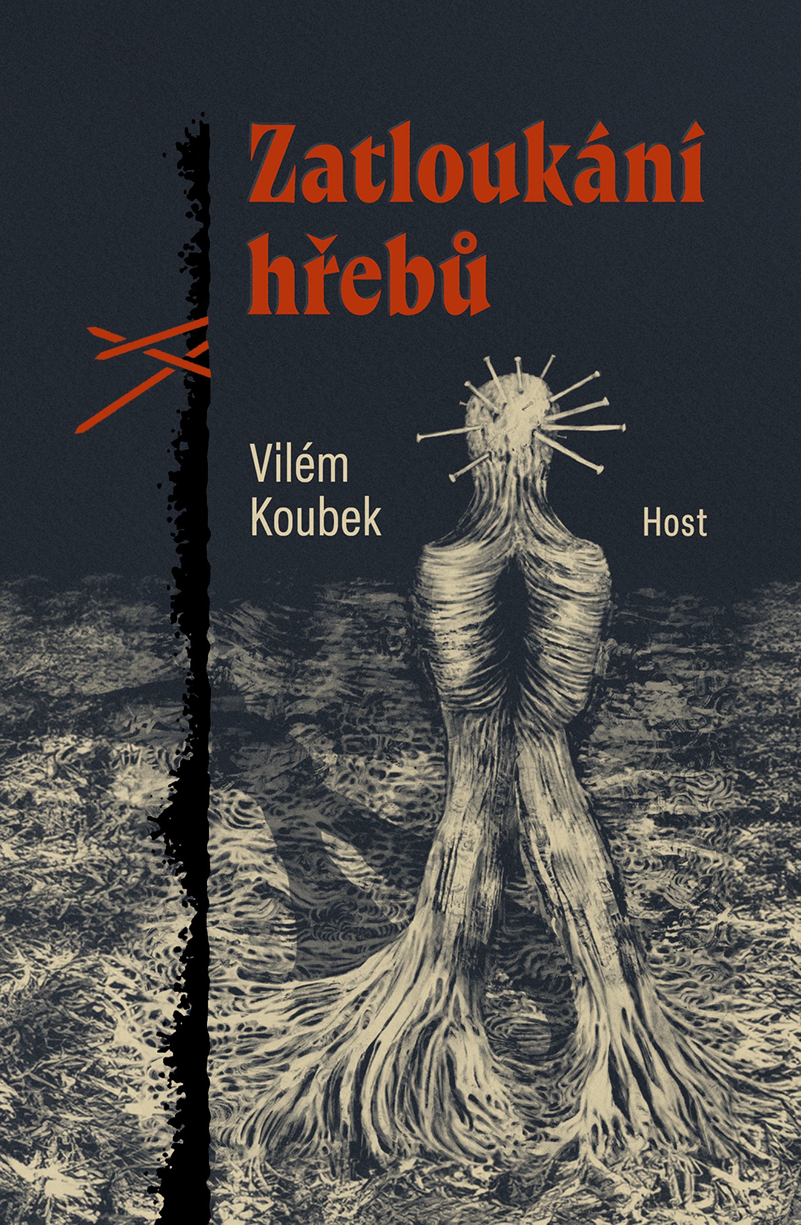 Zatloukání hřebů book cover