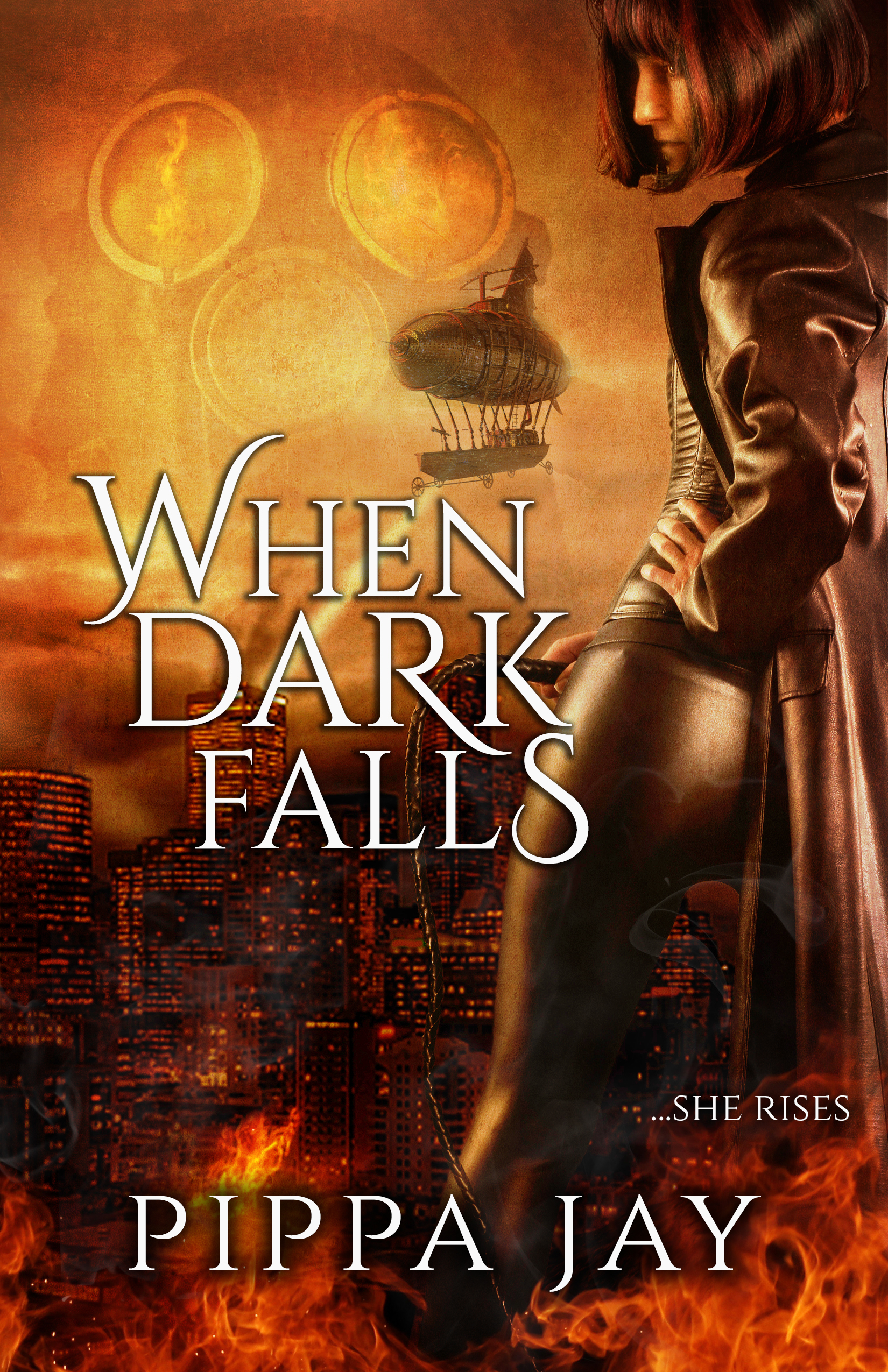 When Dark Falls book cover