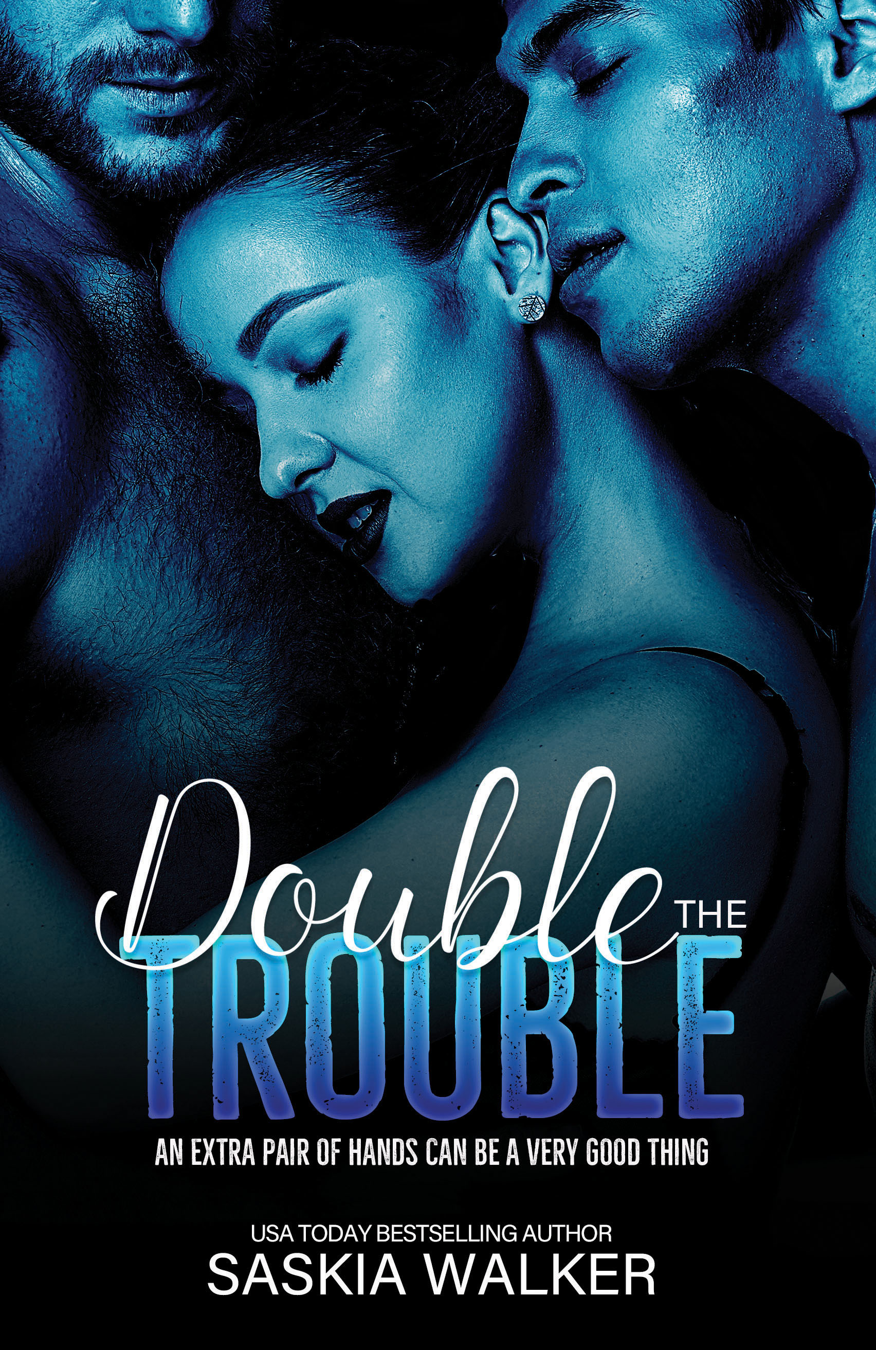 Double the Trouble book cover