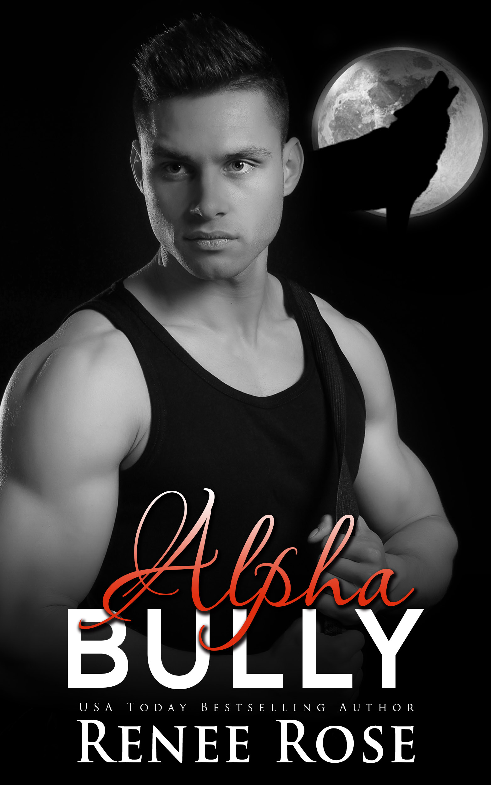 Alpha Bully book cover