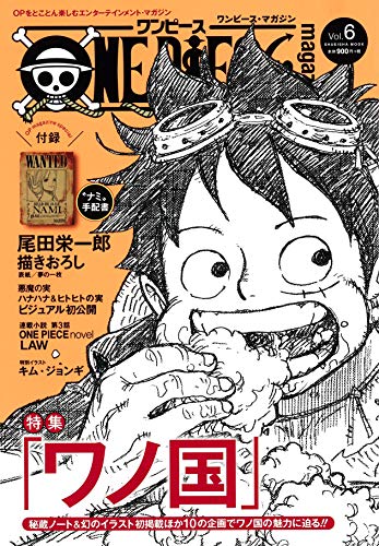 ONE PIECE magazine Vol.6 [Japanese Edition] book cover
