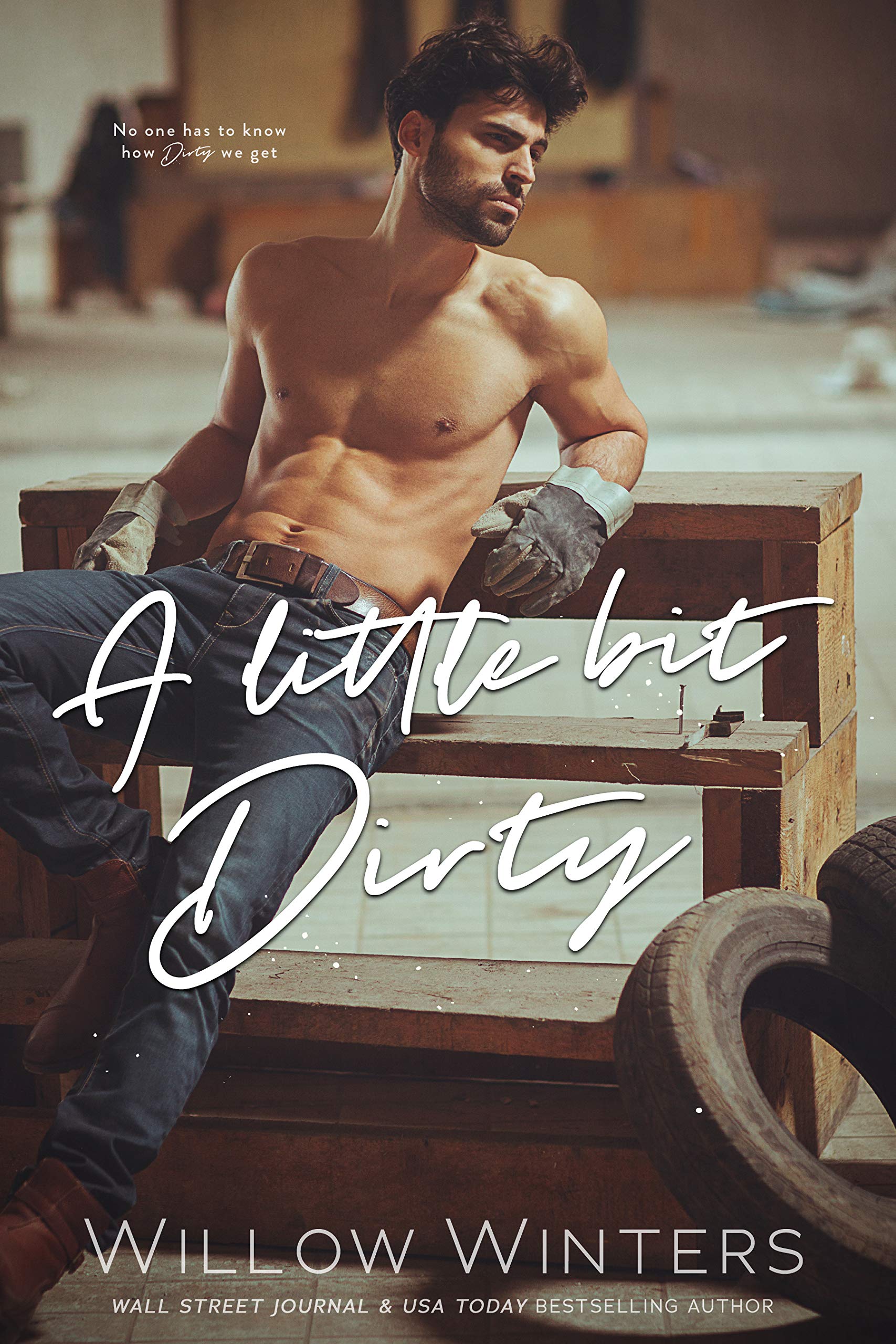 A Little Bit Dirty book cover