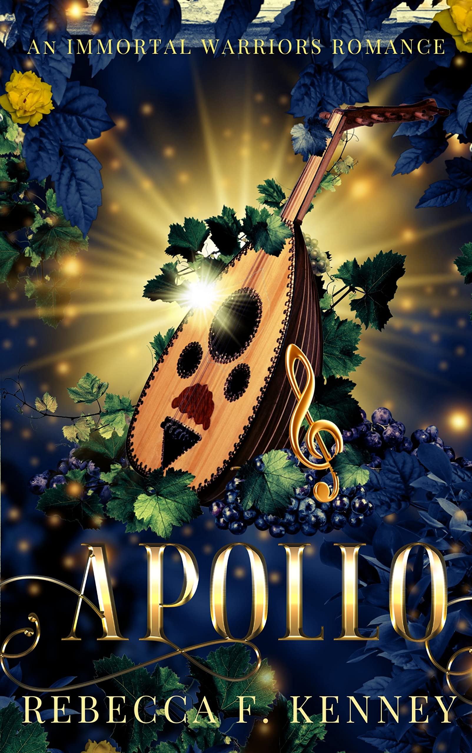 Apollo book cover