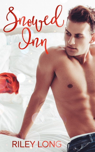 Snowed Inn book cover
