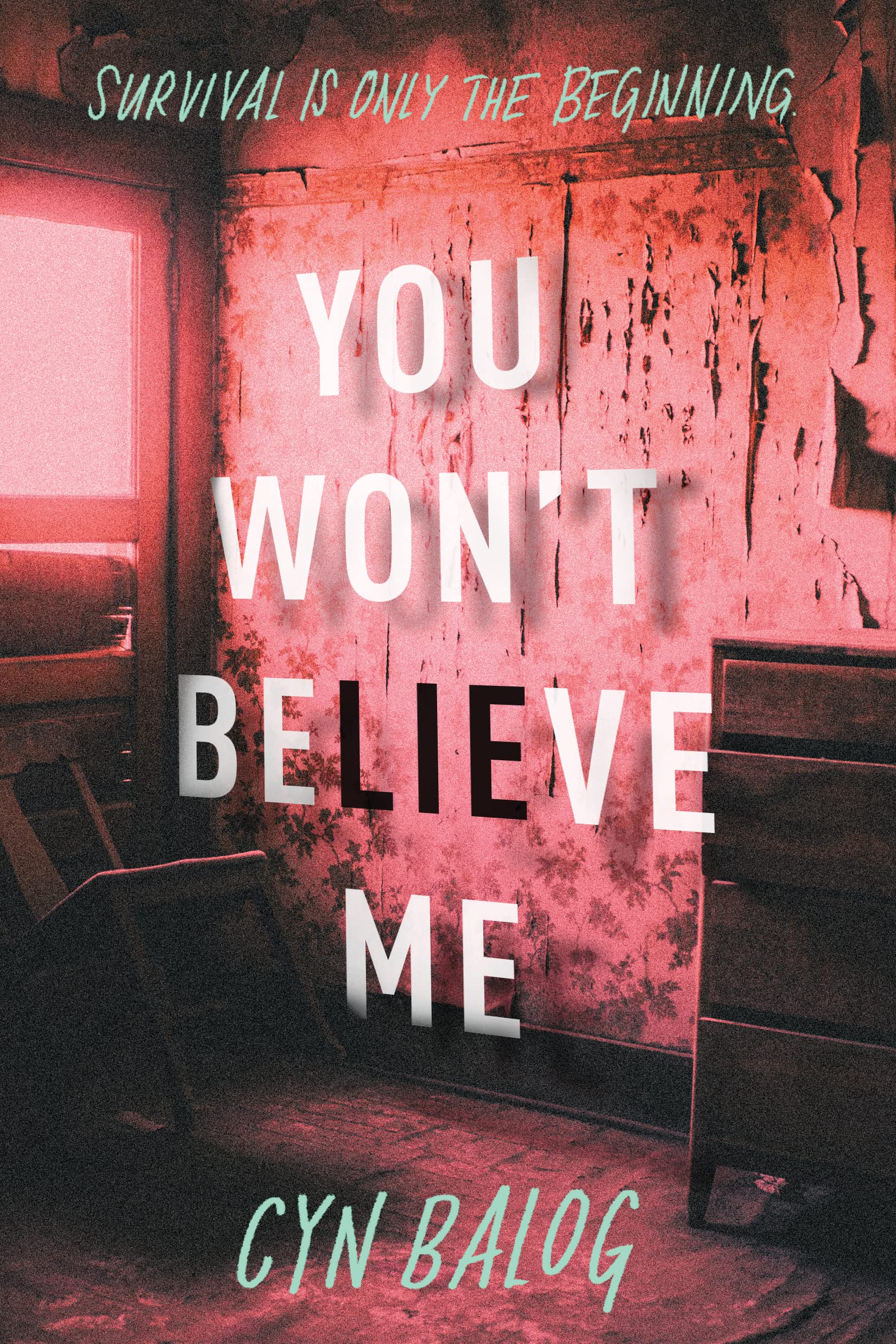 You Won't Believe Me book cover