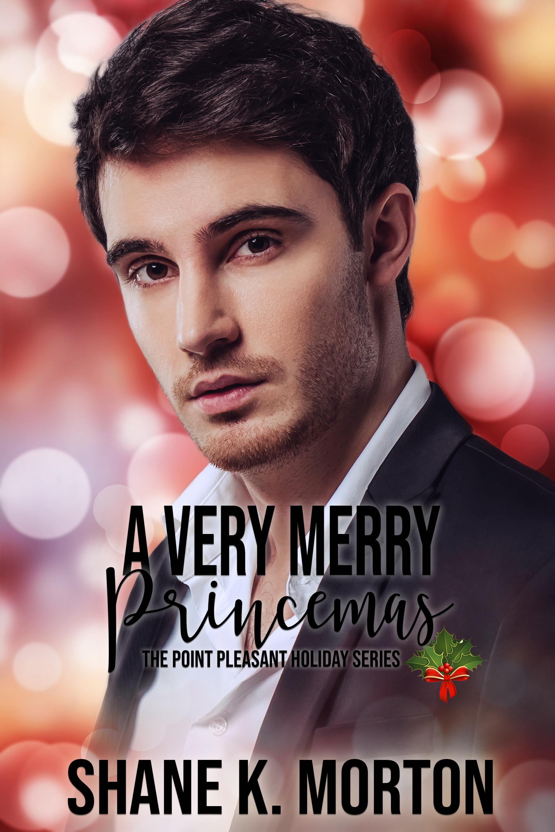 Point Pleasant Holiday book cover 2