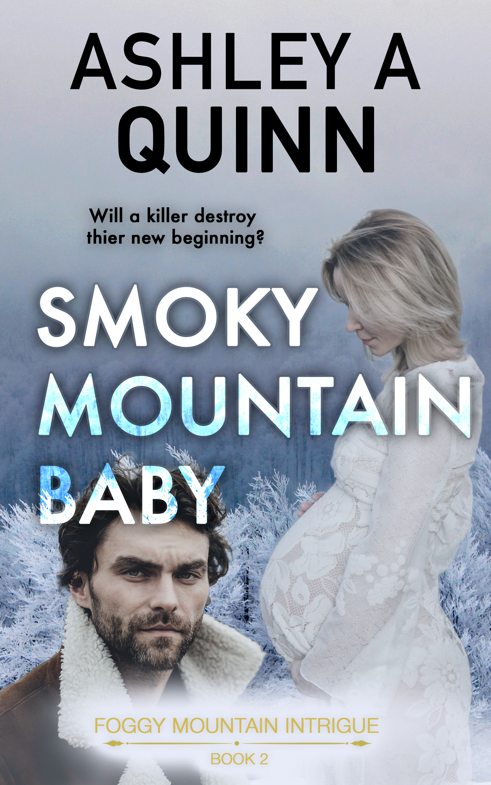 Foggy Mountain Intrigue book cover 2