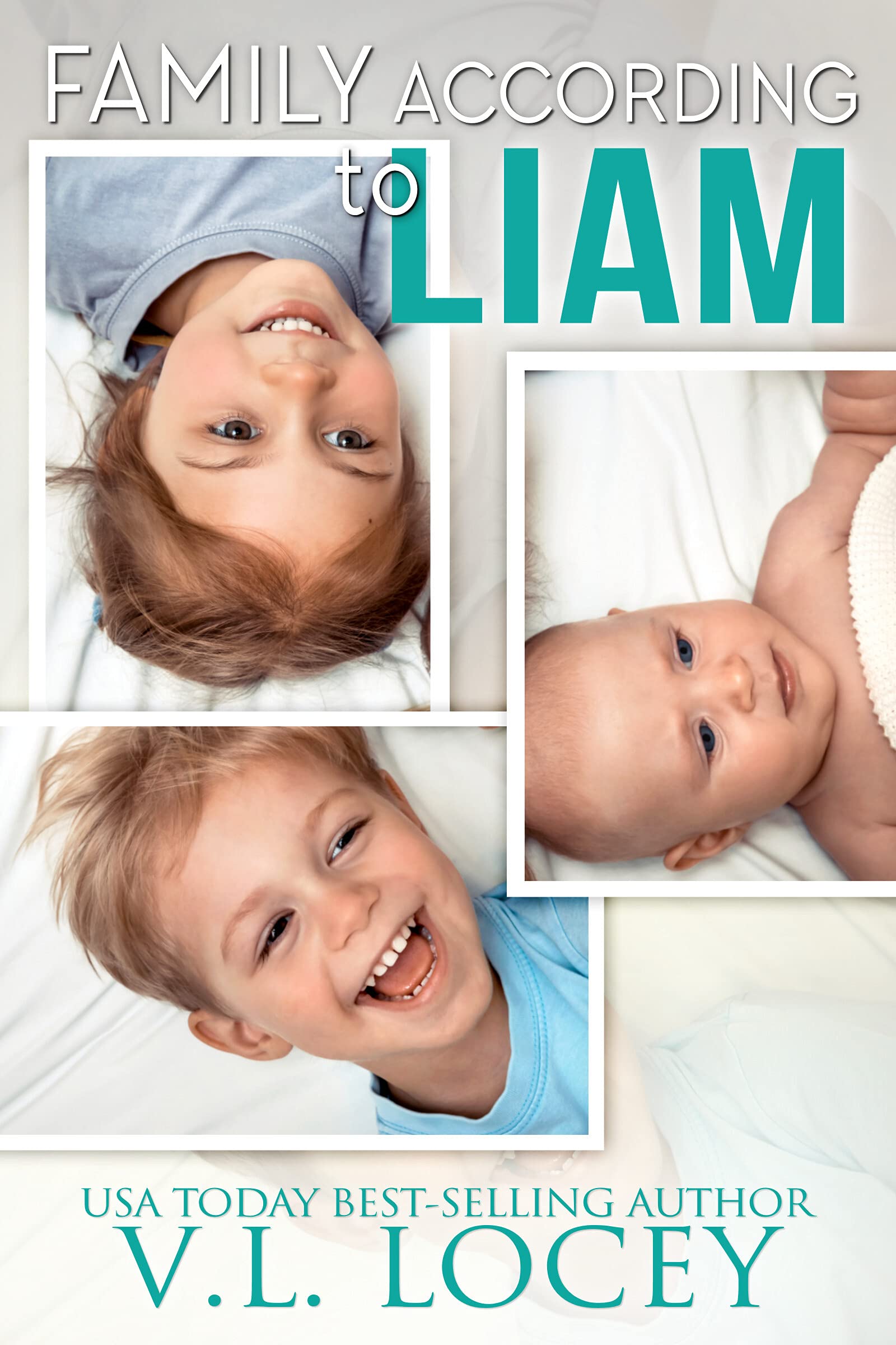 Family According to Liam book cover