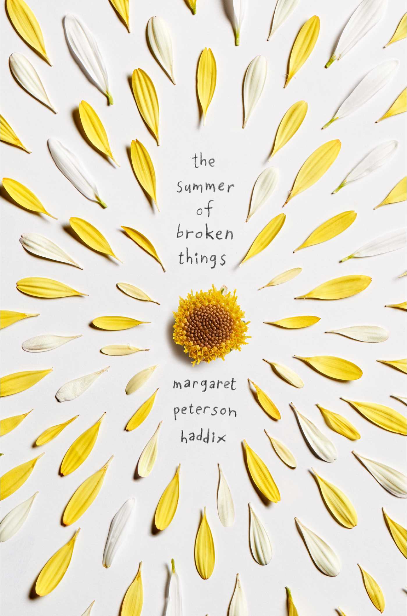 The Summer of Broken Things book cover