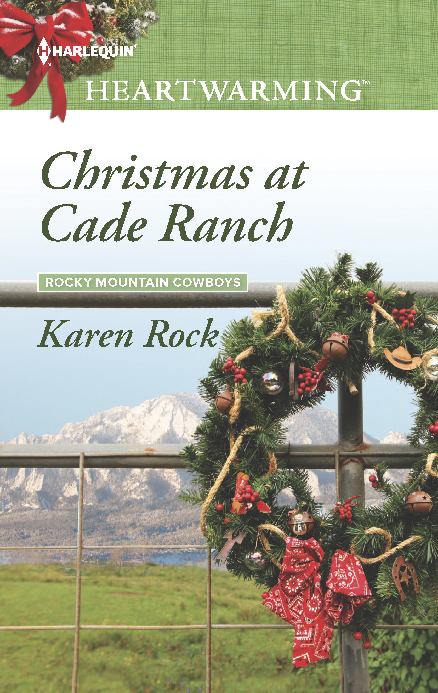 Rocky Mountain Cowboys book cover 1
